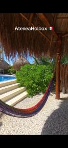 Fotografie z fotogalerie ubytování Atenea Holbox v destinaci Ostrov Holbox