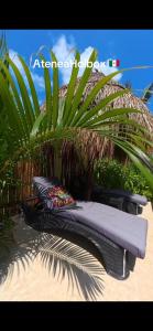 Zahrada ubytování Atenea Holbox