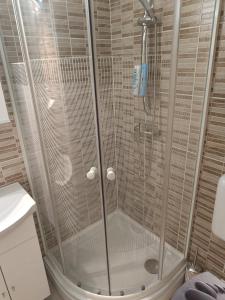 "ハルカーニャ"にあるHarka Central Apartmanのバスルーム(ガラス張りのシャワー付)が備わります。