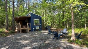 a blue shed in the woods with chairs and a table at Tiny Cub House with Fast WiFi and Dog Friendly in Mentone
