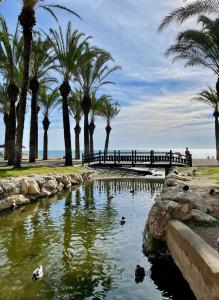 a park with palm trees and a pond with ducks at Sunstay Chalet La Colina Torremolinos in Torremolinos