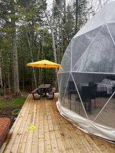 Zahrada ubytování Chamcook_B Dome