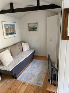 a living room with a couch and a rug at Pikkumökki Sveastugan in Rövik