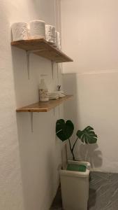 Fotografie z fotogalerie ubytování Ka Prao Kai Hostel v destinaci Pai
