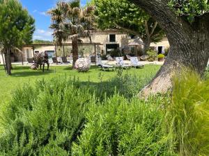 Taman di luar Mas de Nonin St Rémy de Provence