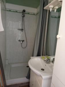 a bathroom with a sink and a shower at Studio indépendant in Le Pontet