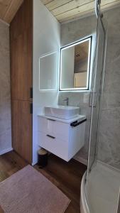 a bathroom with a sink and a shower at Ferienhaus mit eigenem Boot & 2 Fahrrädern ca 100 m zum See An den Sieben Seen in Lohmen +41 photos