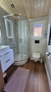 a bathroom with a shower and a toilet and a sink at Ferienhaus mit eigenem Boot & 2 Fahrrädern ca 100 m zum See An den Sieben Seen in Lohmen