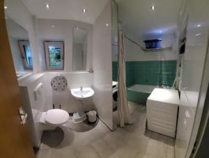 a bathroom with a toilet and a sink and a shower at Fast wie zu Hause in Jettingen-Scheppach