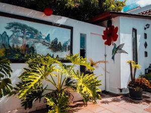 Κήπος έξω από το The Essence of Jakarta Villa