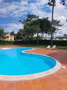 uma piscina azul com duas cadeiras e árvores em Villas Terrace Apartment na Praia de Mira