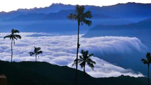 Příroda nedaleko chaty