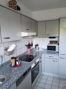 Kuchyň nebo kuchyňský kout v ubytování Haus Willi