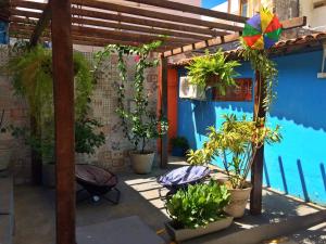 Zahrada ubytování Cosmopolitan Hostel