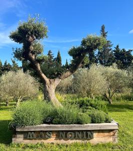 Fotografie z fotogalerie ubytování Mas de Nonin St Rémy de Provence v destinaci Noves