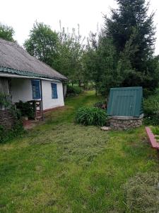 a yard with a house with a green roof at Дибинецькі Карпати in Dybintsy