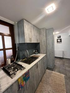 una cocina con fregadero y estufa horno superior en Cozy Tbilisi Home, en Itʼkhvisi