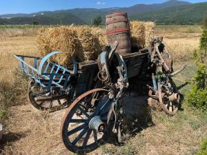 Billede fra billedgalleriet på Vila Jovan i Vojnica