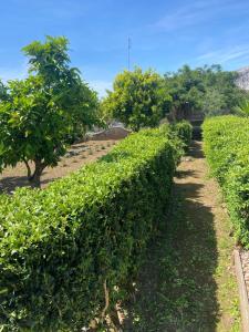 En have udenfor Casa antigo Ferro Crucieira + 17 billeder