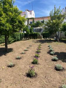 En have udenfor Casa antigo Ferro Crucieira