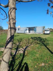 a tree casting a shadow on a field with a building at Con Armonia in Santa Rosa +13 photos