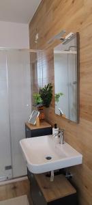 a bathroom with a white sink and a mirror at Terrazza mare e monti in Alba Adriatica