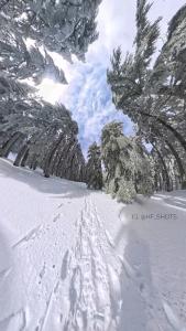 a snow covered road with footprints in the snow with trees at Maison hôte ketama in Tlata Ketama +8 photos