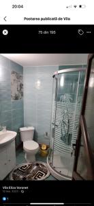 a bathroom with a shower and a toilet and a sink at Vila Eliza Voronet in Voronet