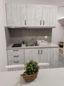a kitchen with white cabinets and a plant on a counter at Ioannas rooms A6 in Mérikhas