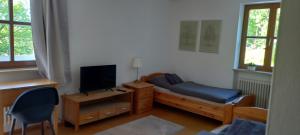 TV a/nebo společenská místnost v ubytování Goldsteig 2 -Zweibettzimmer