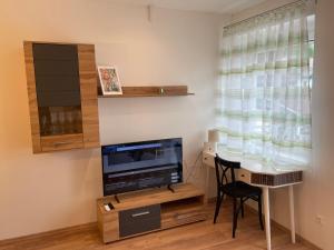 TV a/nebo společenská místnost v ubytování Apartment Weinstraße