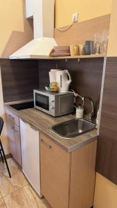 Η κουζίνα ή μικρή κουζίνα στο Apartamentai KAVA