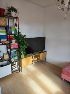 Foto dalla galleria di Cosy apartment a Lillehammer