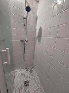 a bathroom with a shower stall with a shower at Le Cosy Gaillard 3 étoiles, magnifique vue sur la ville, parking privé et proche du centre in Brive-la-Gaillarde +3 photos