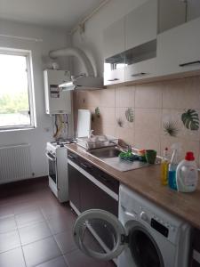 Gallery image of Apartament cu două camere Fundeni in Văleni