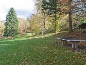 a picnic table in a park with trees at Wohnung nahe dem Skigebiet in Wehrstapel in Meschede