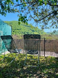 two chairs sitting in the grass under a tree at L'appart avec jardin in Malmerspach