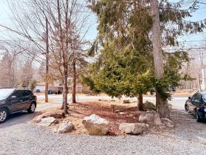 dos coches estacionados en un estacionamiento junto a los árboles en Cozy Pocono Escape, en Tobyhanna