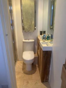 a bathroom with a toilet and a sink and a mirror at Hideaway Cottage in Camelford +13 photos