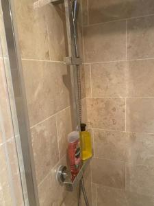 a shower with a glass door in a bathroom at Hideaway Cottage in Camelford