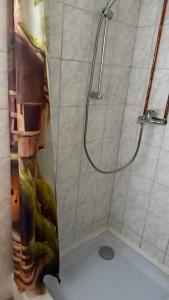 a shower with a glass door in a bathroom at Gárdonyi csillagszem in Gárdony +4 photos