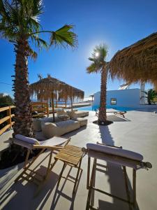 米克诺斯城ELLI TROPiCAL LUXURY SUITES SUNSET-INFINITY POOL- SEA SIDE-NEAR CENTER PARKING的海滩上有椅子和棕榈树