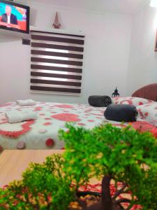 Apartman Koja客房内的一张或多张床位