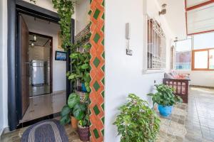 a hallway with potted plants on the wall at Dar RADI Appart Terrace in Chefchaouen