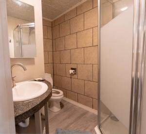 ein Badezimmer mit Waschbecken und Toilette in der Unterkunft Downtown Eureka, 1 Queen bed, full kitchen, free parking in Eureka Springs