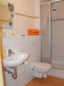 La salle de bains est pourvue de toilettes, d'un lavabo et d'une douche. dans l'établissement Marcos Heuboden, à Oberzissen
