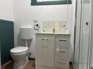 une salle de bain avec toilettes, lavabo et douche dans l'établissement School Cottage, à Walhalla 5 autres photos
