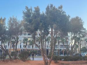 a group of trees in front of a building at Golden Horn Apartment in Agadir