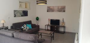 a living room with a couch and a tv at Maison entière garage à 5 minute à pied des grands buffets et centre ville in Narbonne