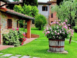 A garden outside Air-conditioned flat with pool and wellness area